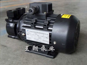 RYWD高溫?zé)嵊脱h(huán)泵